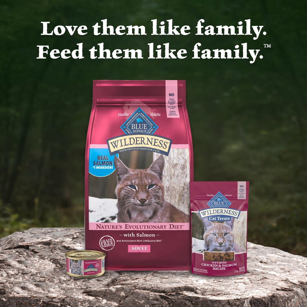 Wilderness Salmon Adult Dry Cat Food (15 Pound (Pack of 1))