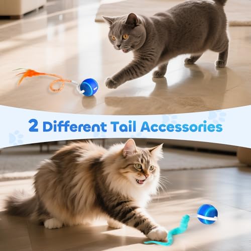 Interactive Cat Toy Ball for Indoor Cats with 3