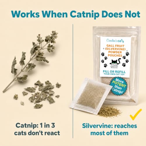Silvervine for Cats