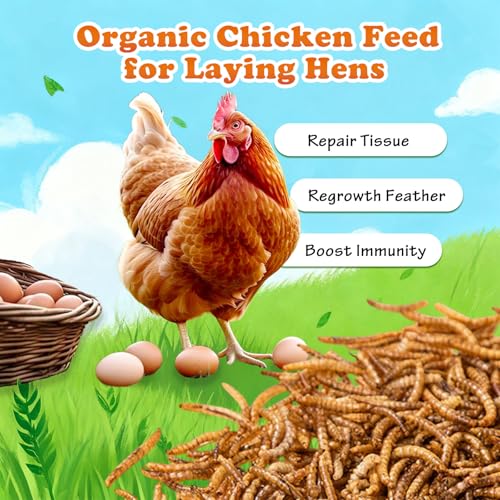 Dried Mealworms 2 LB (2 Pound (Pack of 1))