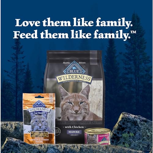 Wilderness Salmon Paté Adult Wet Cat Food (5.5 Ounce (Pack of 24))