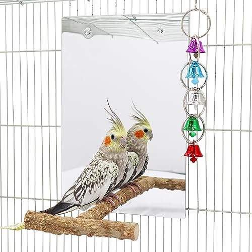 Large Bird Mirror Toy with Perch Stand (11.8 × 7.9 Inch)