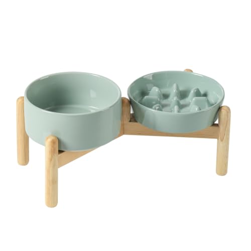 Elevated Slow Feeder Dog Bowls (Light Green)