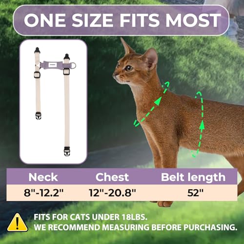 Cat Harness and Leash Set (Ivory White)