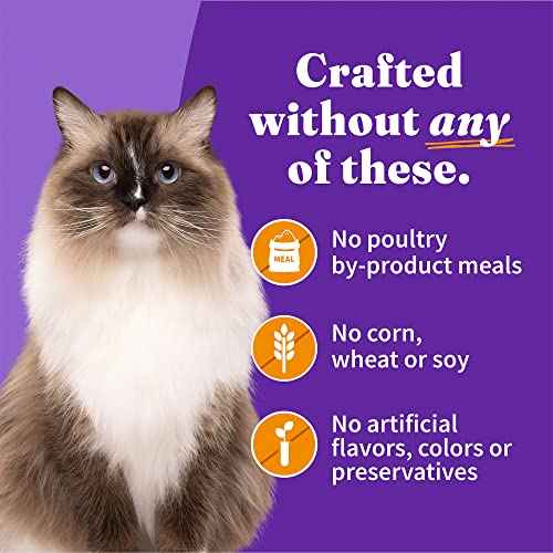 Pate Wet Cat Food