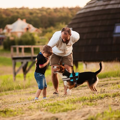 Dog Harness Reflective No (Teal / Girth 15" to 18")