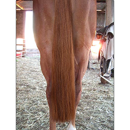 Horse Tail Extensions with Braided Horsehair Loop (1/2 LB (34"-36") / Light Sorrel)
