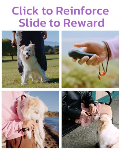 Dog Training Clicker & Dog Clicker with Treat Storage (Purple)