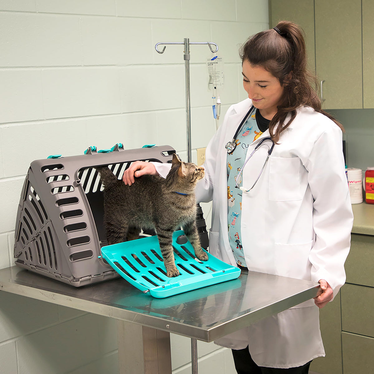 Foldable Travel Cat Carrier (A) Large Carrier (Tan & Gray))