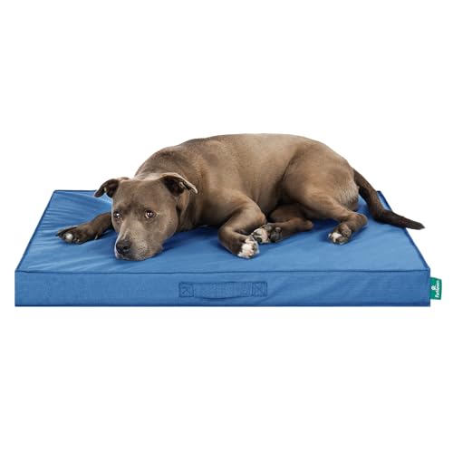 Cooling Dog Bed (Large / Blue)