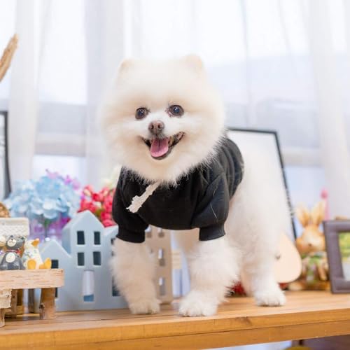 Dog Hoodie for Small Medium Large Dogs (Black / Medium)