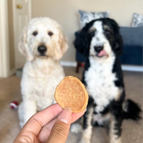 Dog Treats Chicken Chips (12 Ounce (Pack of 1))