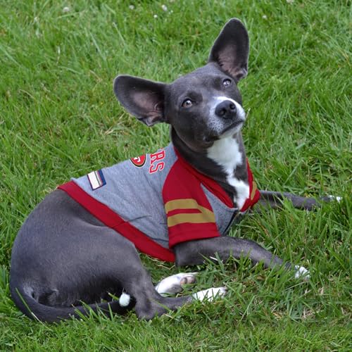NFL San Francisco 49ers Hoodie for Dogs & Cats (Small / San Francisco 49ers)