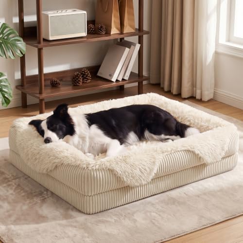 Orthopedic Dog Bed for Medium Sized Dog (Cream / 35"L x 25"W x 6.5"T)