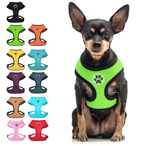 Small Dog Harness (XS (NECK: 10", CHEST: 10"-14") / Green)