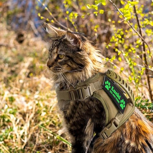 Tactical Cat Harness for Large Cats with Patches (Camo)
