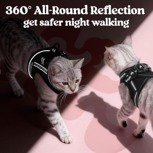 Cat Harness and Leash Set (XL / Black)
