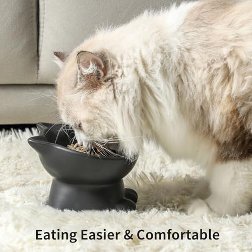 Elevated Cat Bowls (4.5 OZ+8 OZ / Matte Black)