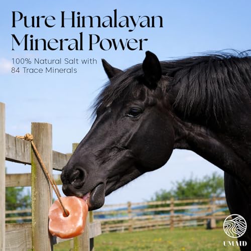 Himalayan Salt Lick 3 lbs On Rope for Horse (3 Pound (Pack of 6))