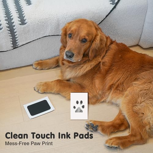 Inkless Paw Print Kit for Dogs (Black Pad,Walnut Wood Frame / 4-Pack,Medium)