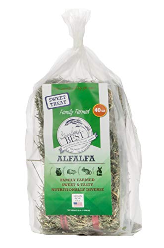 Alfalfa Hay 40 oz (2.5 Pound (Pack of 1))
