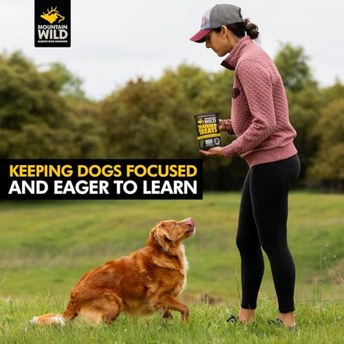 Training Treats for Dogs (4 Ounce (Pack of 1))