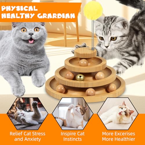 Cat Ball Track (Large - Standard)