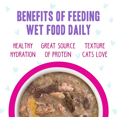 B.F.F. OMG Best Feline Friend Oh My Gravy! (5.5 Ounce (Pack of 8))