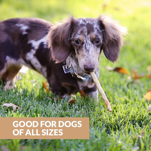 Turkey Collagen Sticks for Dogs (5.3 Ounce (Pack of 15))