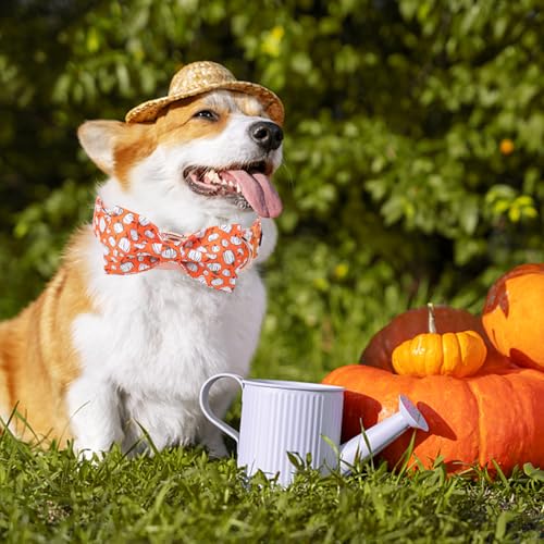 Halloween Day Dog Collar with Bow Line Pumpkin Cotton Dog Collars for Small Medium Large Dogs (Medium / Line pumpkin)
