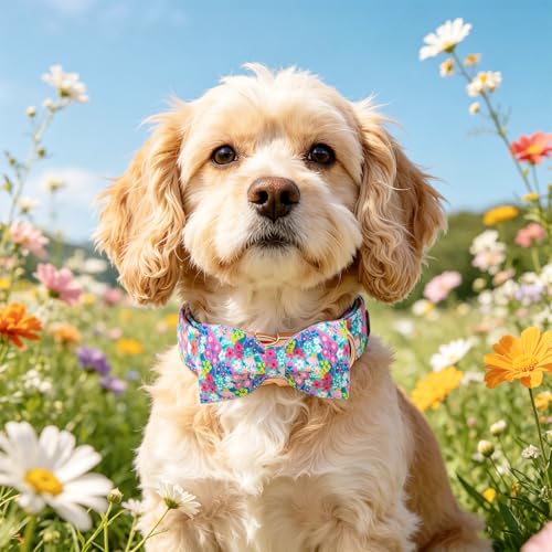 Spring Floral Dog Collar (Flower&Wild Berries / X-Small (Pack of 1))