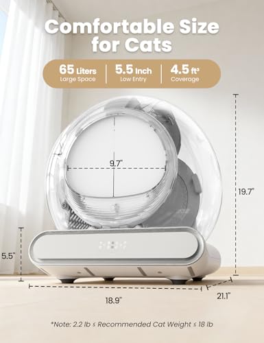 Self Cleaning Litter Box