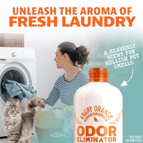 Pet Odor Eliminator Concentrate for Cat Urine and Smells (8 Fl Oz (Pack of 1))