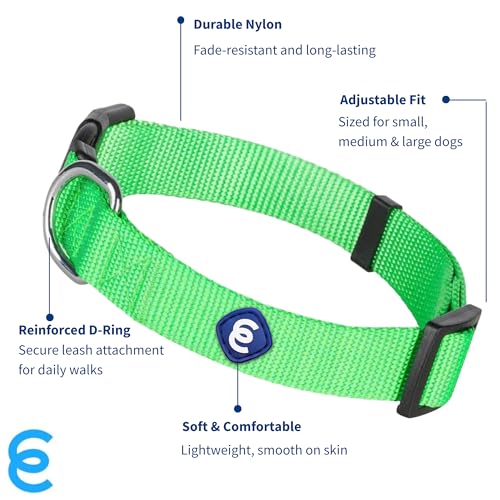 Essentials Neon Green Adjustable & Durable Large Dog Collar for Boys (Large / Neon Green)
