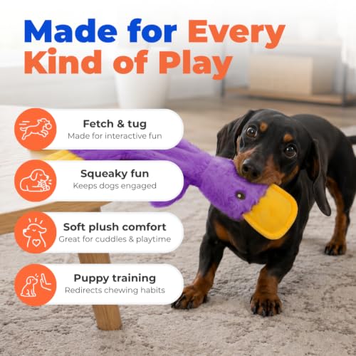 Interactive Squeaky Dog Toy (aCrinkle Duck (Light Purple) / Large)