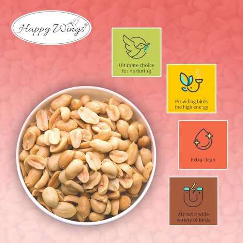10LB Shelled Peanuts Bird Food (5 Pound (Pack of 2))
