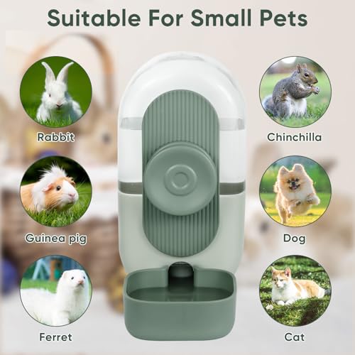28oz Rabbit Water Bottle Dispenser (Green)