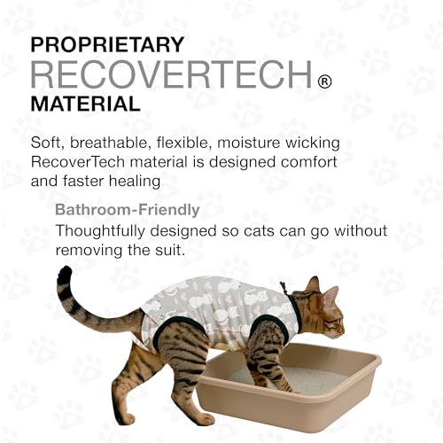 Cat Recovery Suit Female and Male (Grey / Small)