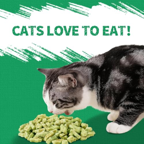 13.4 OZ Crunchy Cat Treats Catnip Treats for Cats with Digestive Support