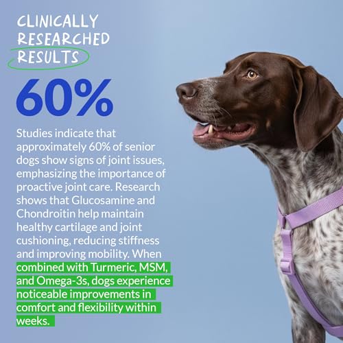 Hip and Joint Chews for Dogs