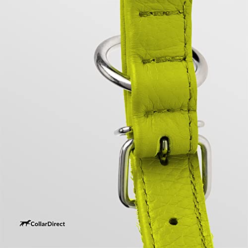Tangle Free Rolled Leather Dog Collar (Lime Green / XL)