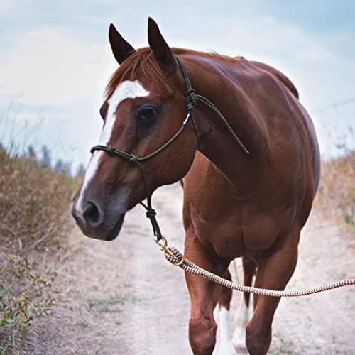 Double Braid Polyester Yacht Horse Lead Rope with Loop 12ft. or 14ft. Lengths (Beige / 14 ft.)