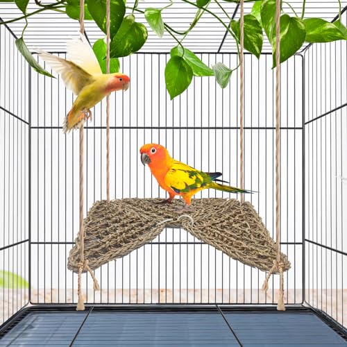 3 PCS Parrot Seagrass Mat