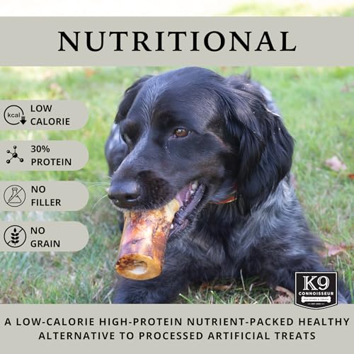 Dog Bones Made in USA for Large Breed Aggressive Chewers All Natural Long Lasting Meaty Mammoth Marrow Filled Bone Chew Treat Best for Dogs Over 50 Pounds (8 Pack)