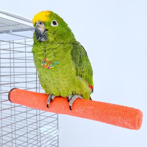 10 PCS Parrot Perch Stand Bird Perch Stand Toy Colorful Paw Grinding Stick Cage Wooden Parakeet Perch Accessories for Cockatiels （7.87in (20CM)