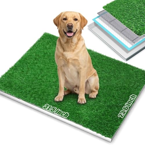 DDog Grass Pee Pad with Stainless Steel Tray (Potty System Size -31.5''x 20")