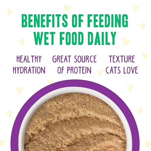 B.F.F. Play Best Feline Friend Paté Lovers (2.8 Ounce (Pack of 12))