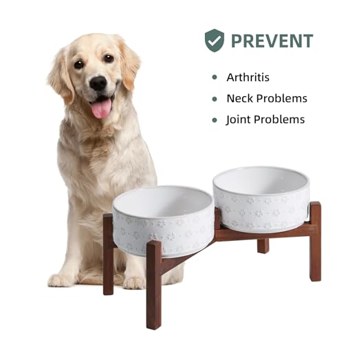 Elevated Dog Bowls (Double Bowls with Stand- Arctic White / 5CUPS)