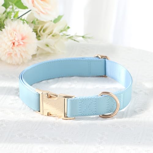 Soft PU Leather Dog Collar (S: Fit 9-14" Neck(10-20 lbs) / Blue)