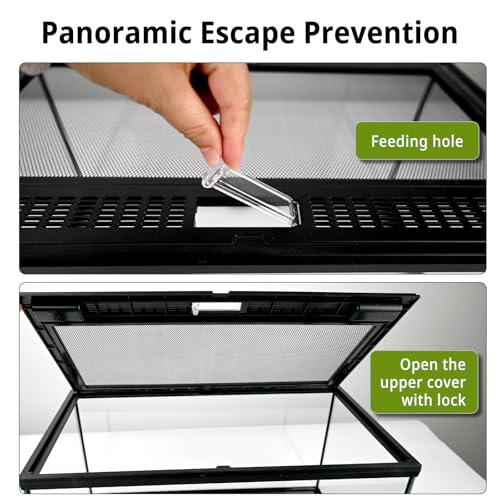 Reptile Glass Tank 20"*12"*10" Pre (20*12*10inch)